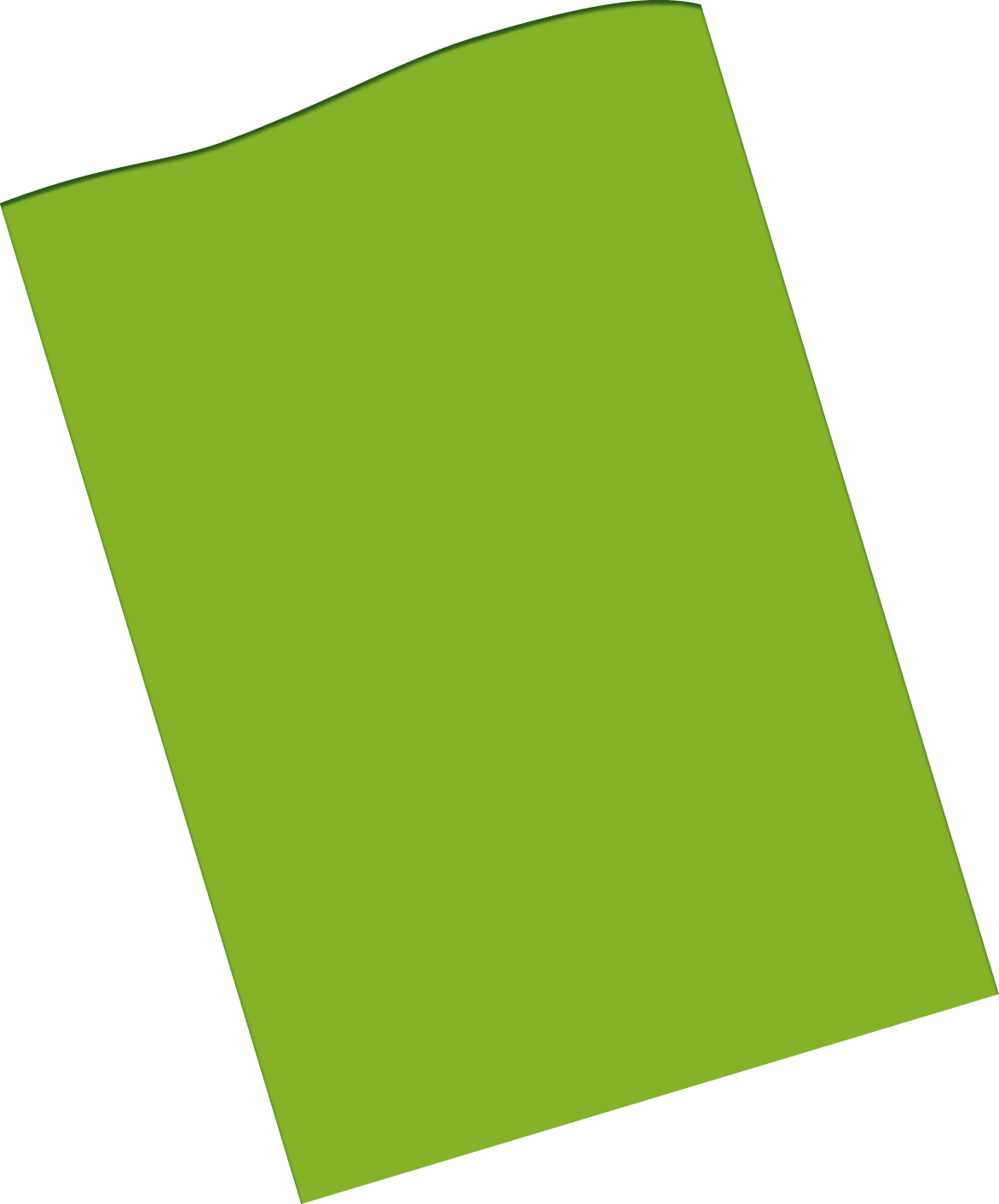 Polygon