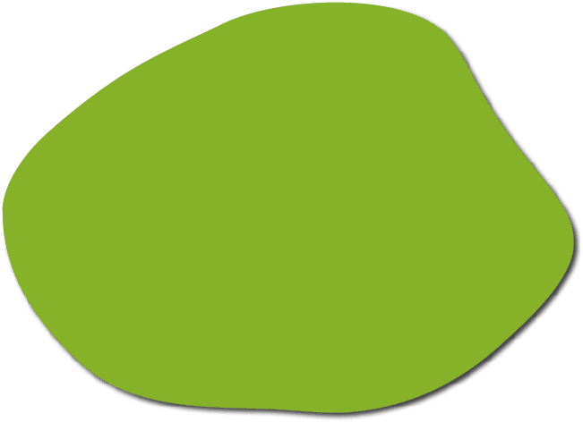 Polygon