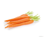 Rectangle