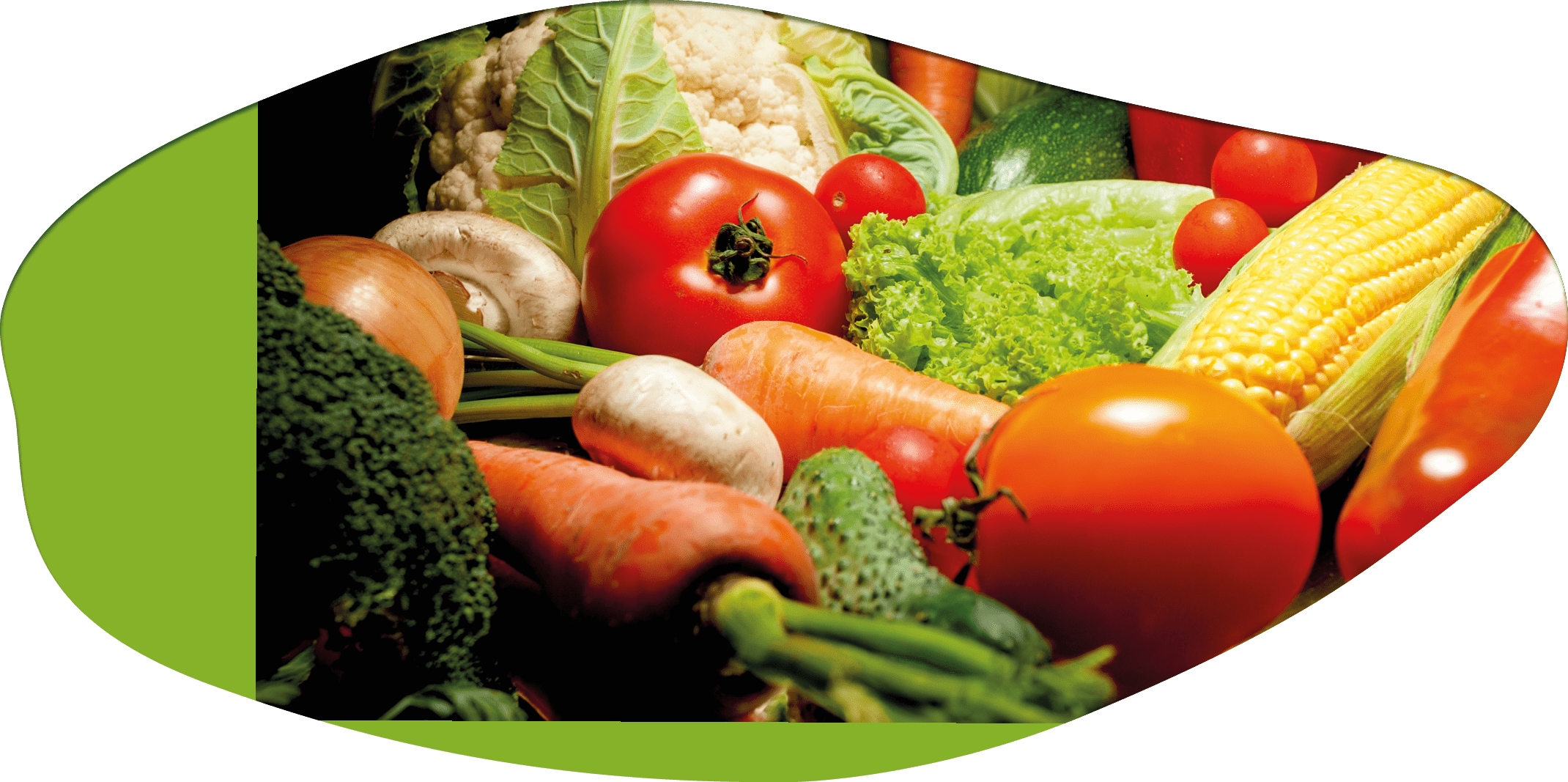 Closeup image of fresh tomato, cucumber, corn, bell pepper, cabbage, cauliflower and other garden vegetables on black background.