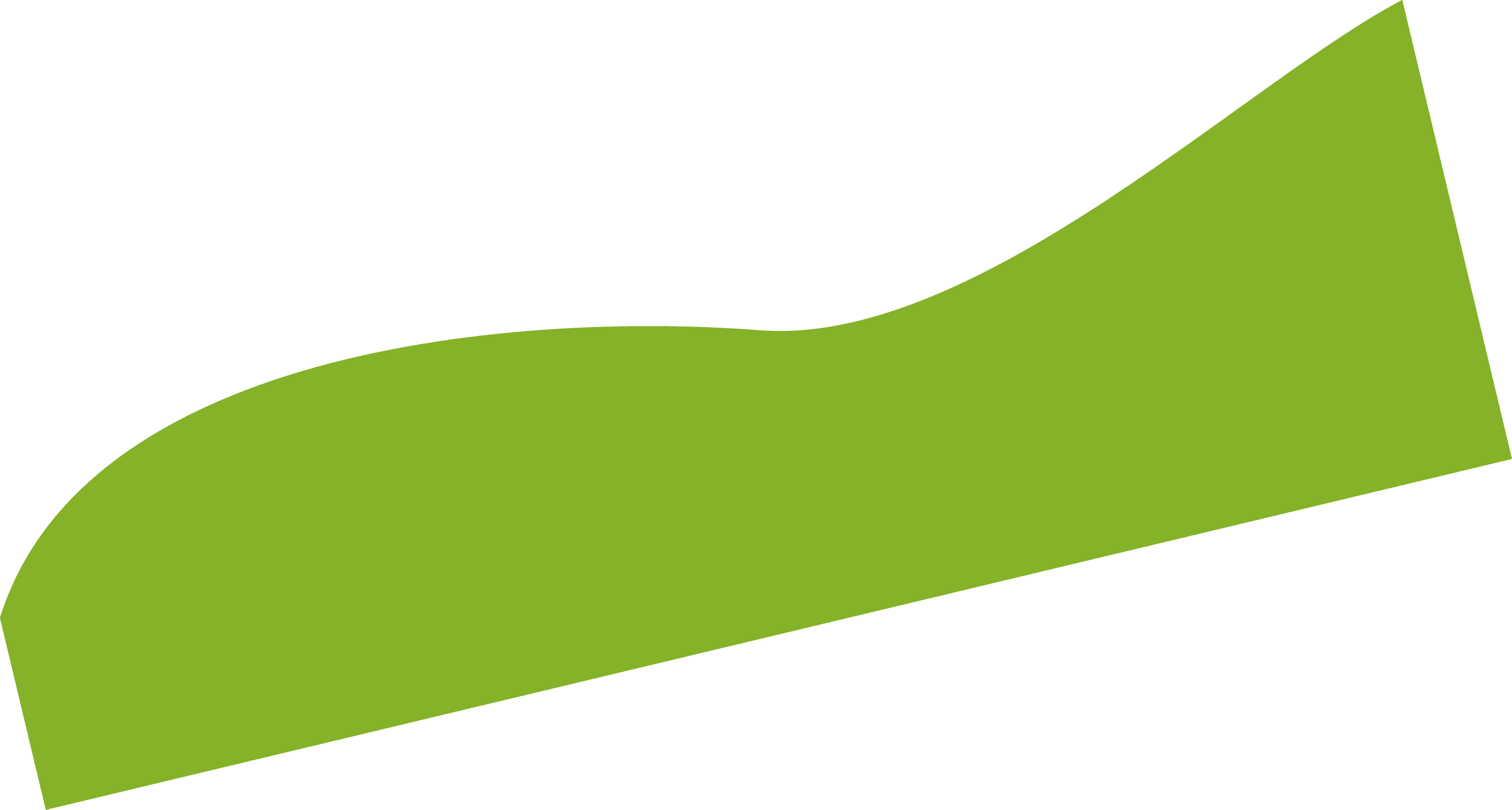 Polygon
