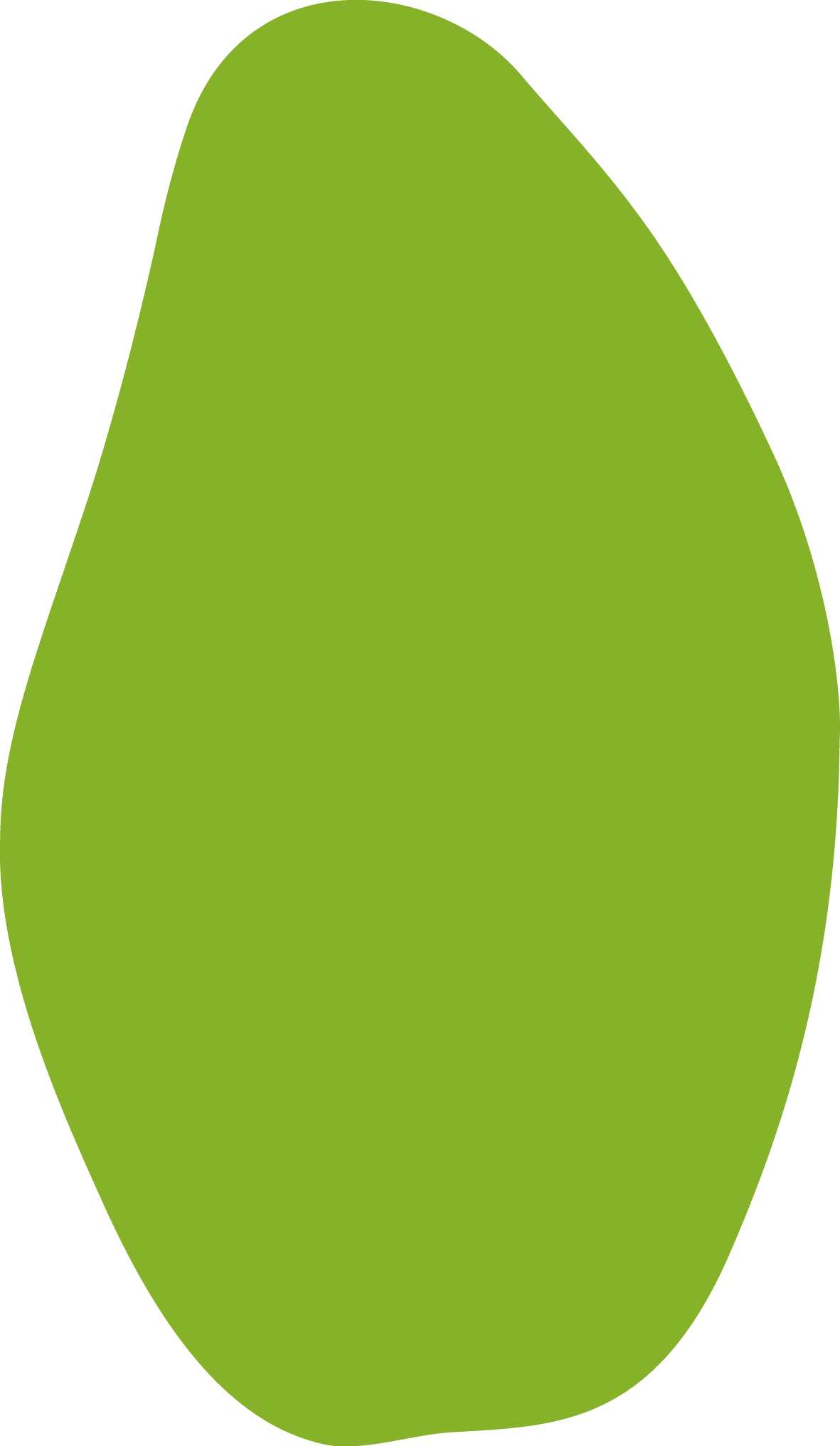 Polygon