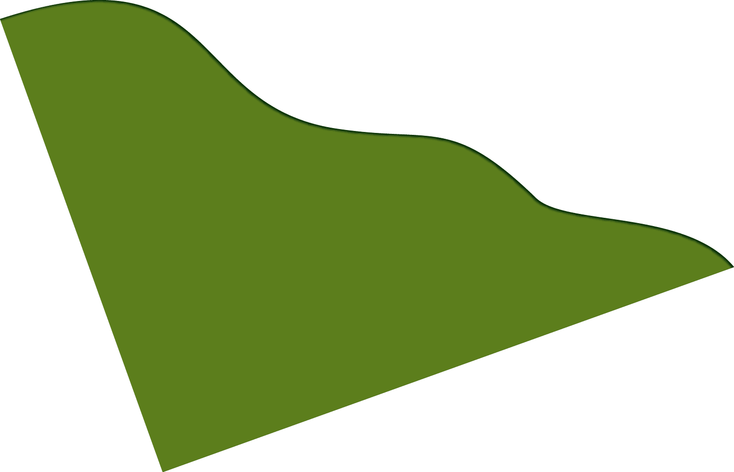 Polygon