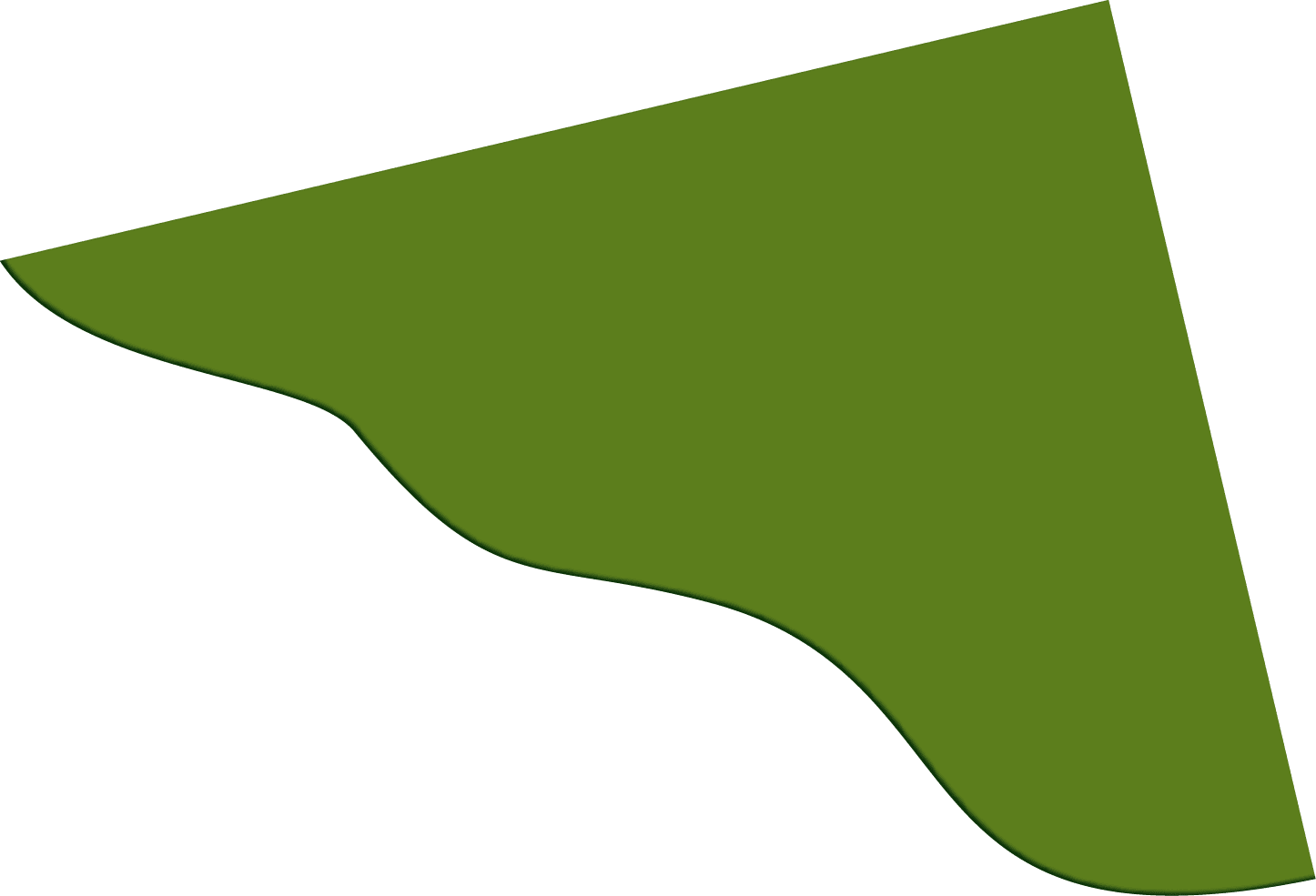 Polygon