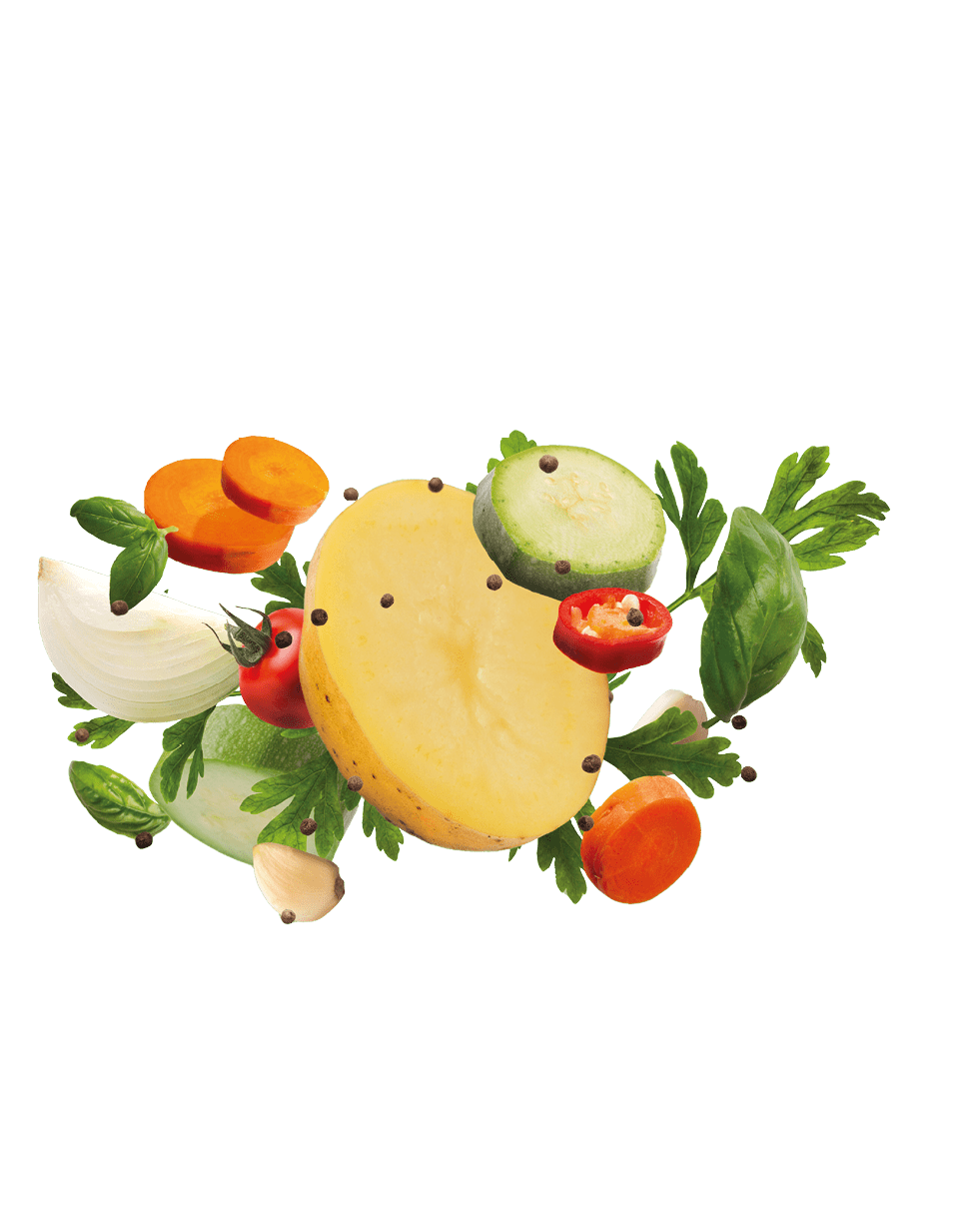 Collection of various fresh organic vegetables ingredients for healthy food, panorama. Raw zucchini, carrot, parsley, basil leaves flying up all together as ingredients for healthy tasty food