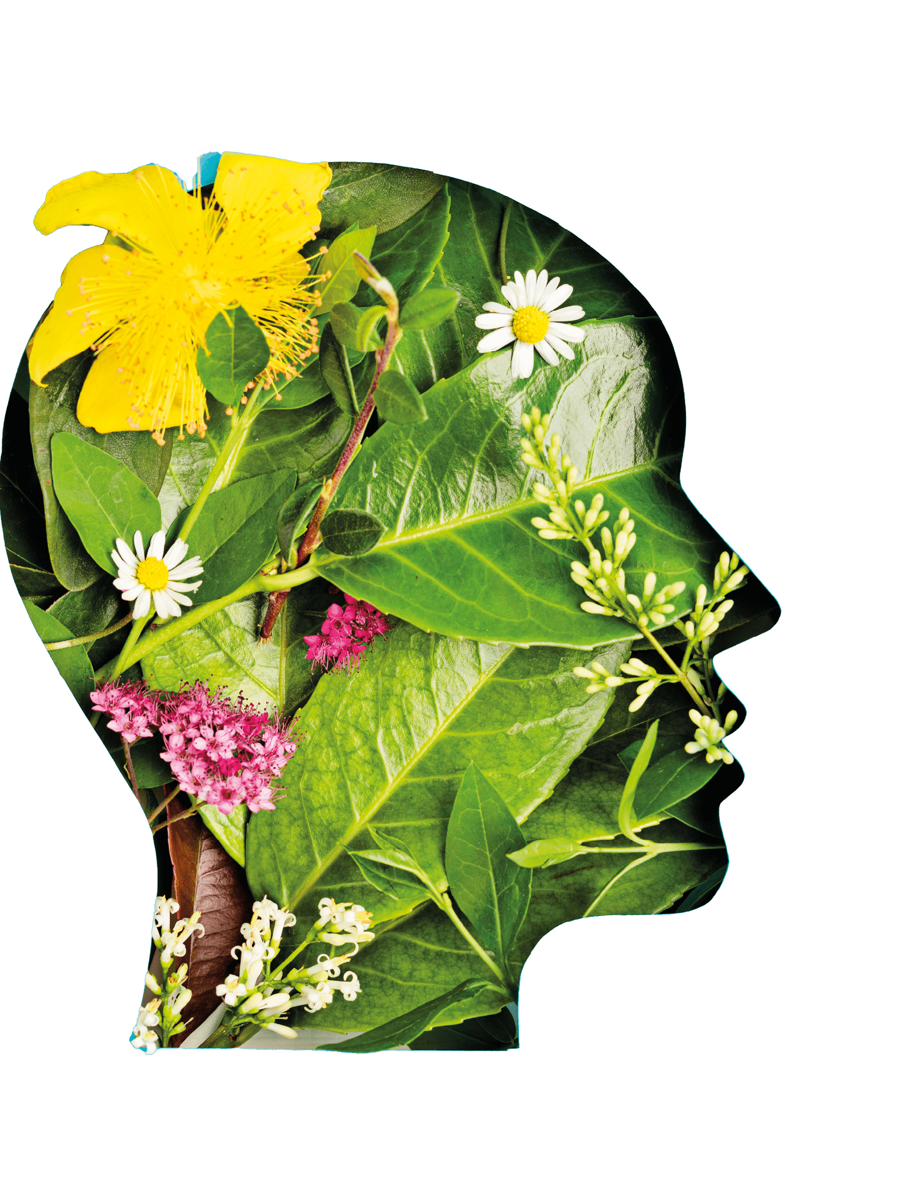 Papercut head with green leaves and flowers. Mental health, emotional wellness, contented emotions, self care, psychology, green thinking, ecology concept