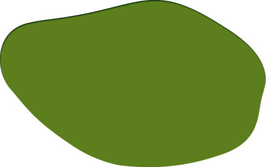 Polygon