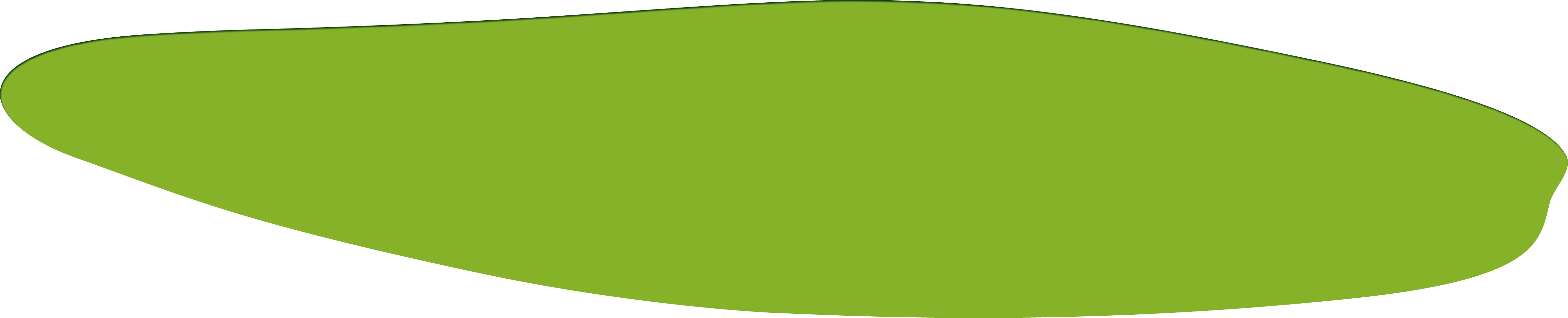 Polygon