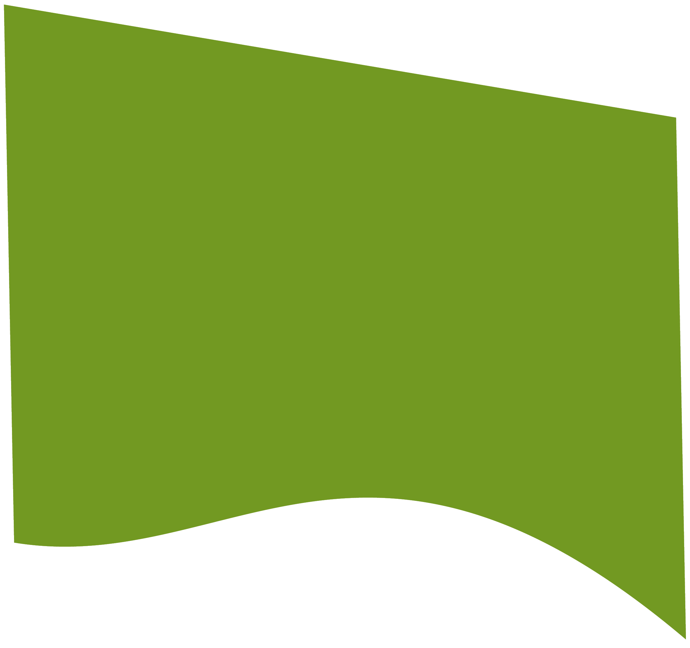 Polygon