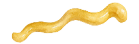 Rectangle