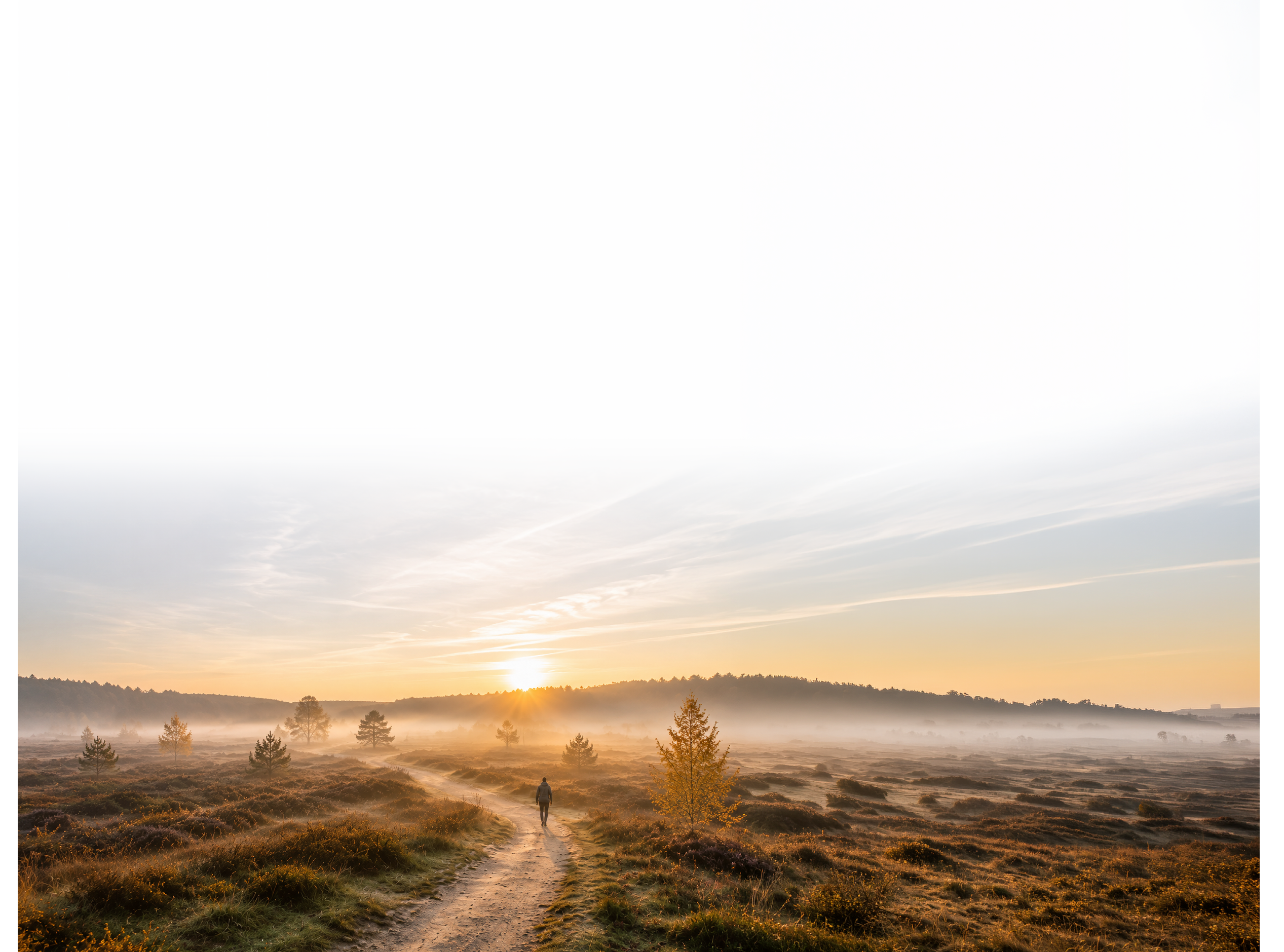 A person walks alone on a dirt path through a misty field at sunrise with soft golden light illuminating the landscape. Description generated by AI