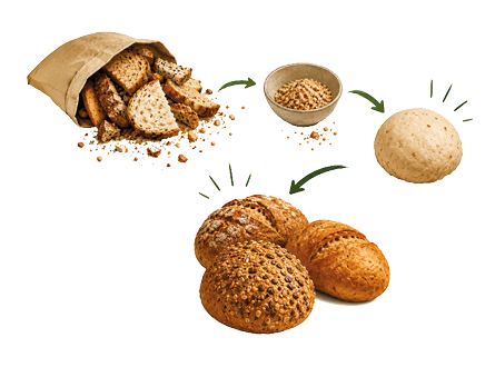 A visual flow shows bread pieces turning into grains, then dough, and finally into freshly baked whole grain bread rolls. Description generated by AI