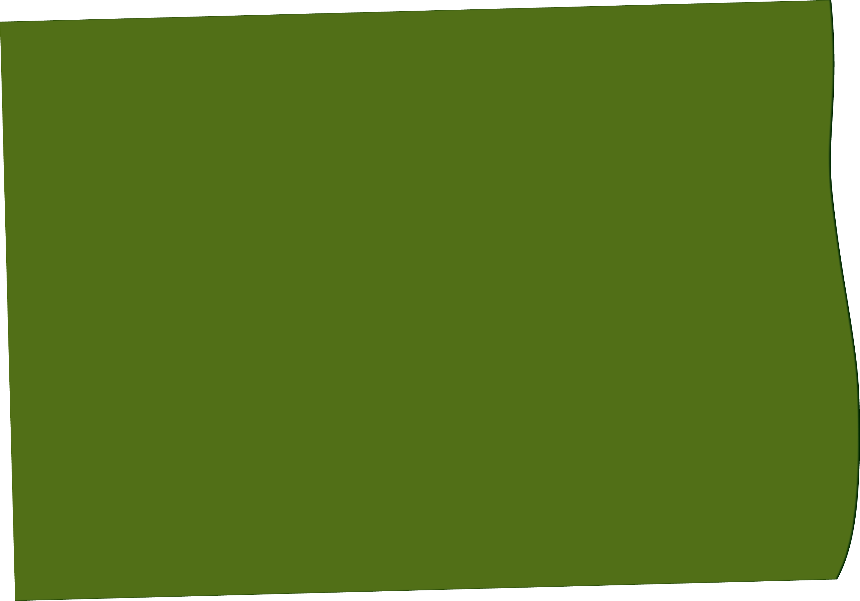 Polygon