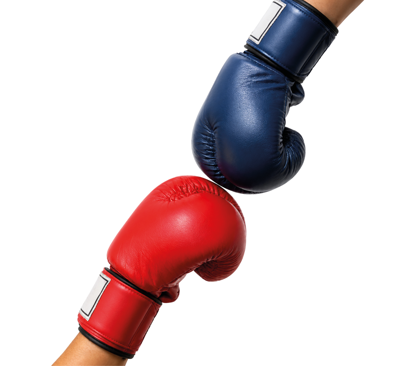 Two boxing gloves are shown, one red and one blue. Description generated by AI