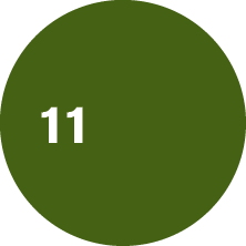 Oval