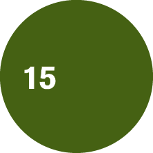 Oval