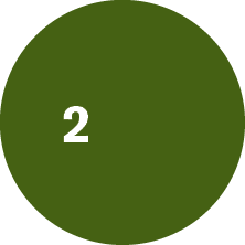 Oval