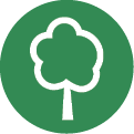 A white background with no visible text. Description generated by AI