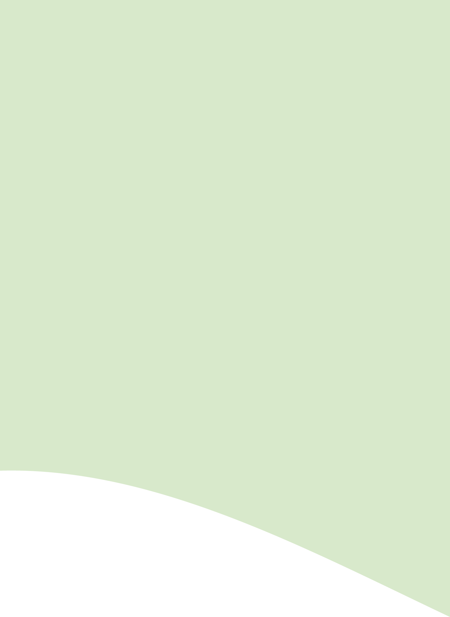 Vlak achter 03