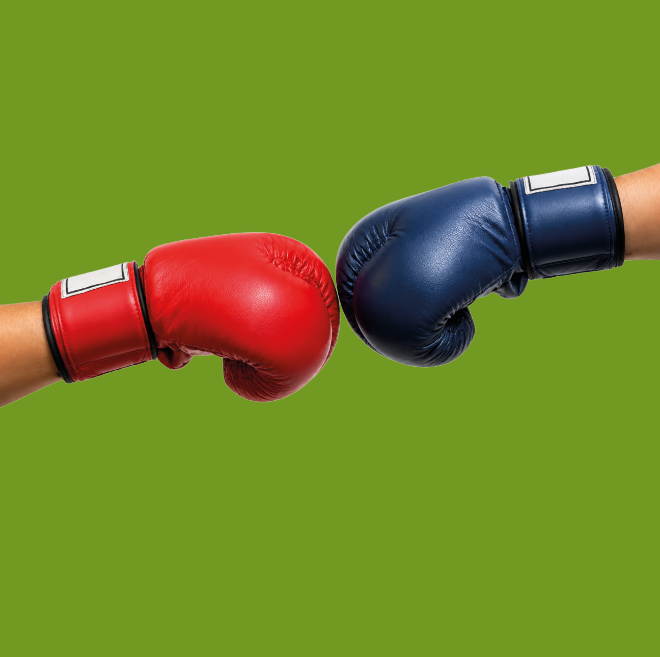 Two boxing gloves are shown, one red and one blue. Description generated by AI