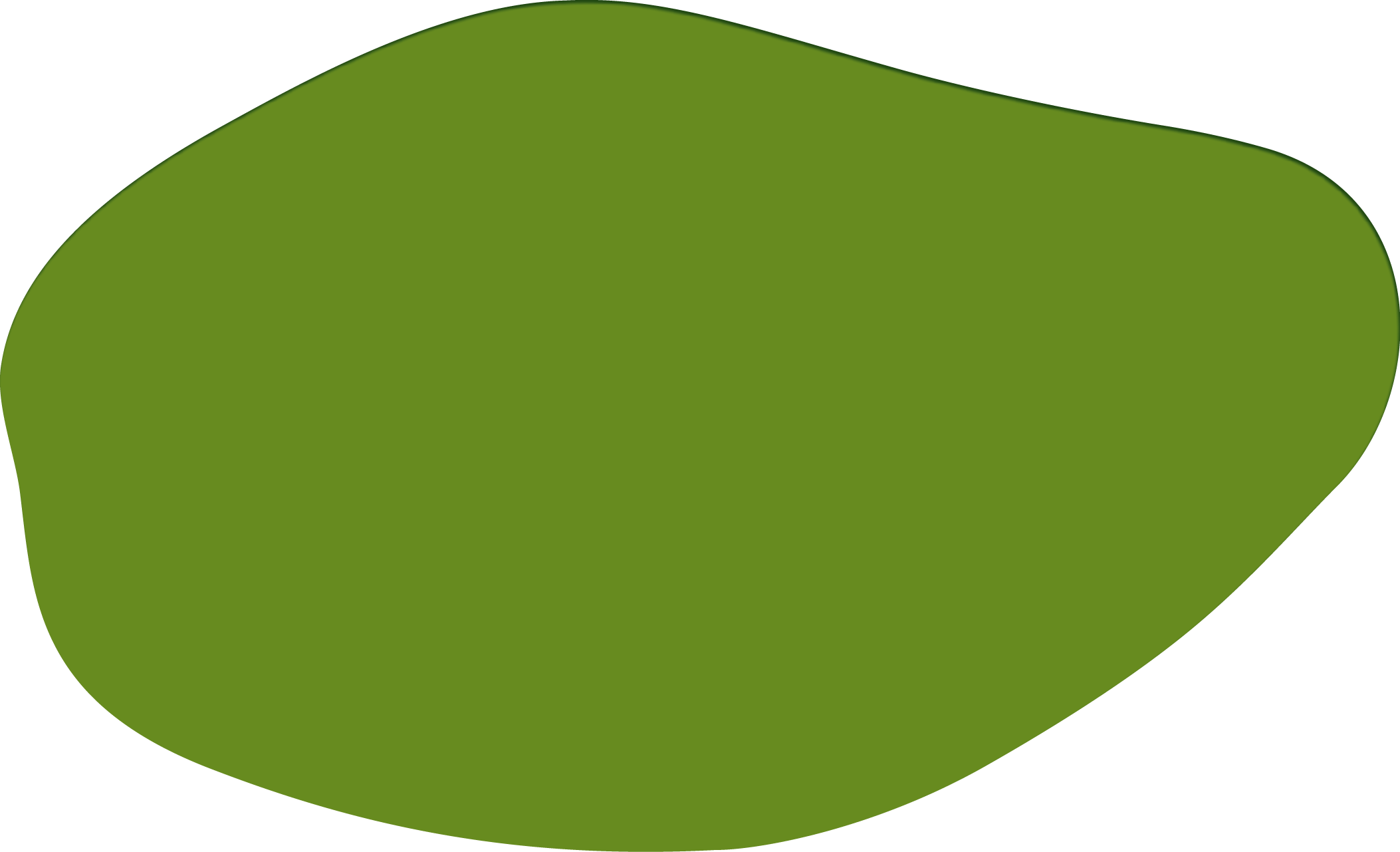 Polygon