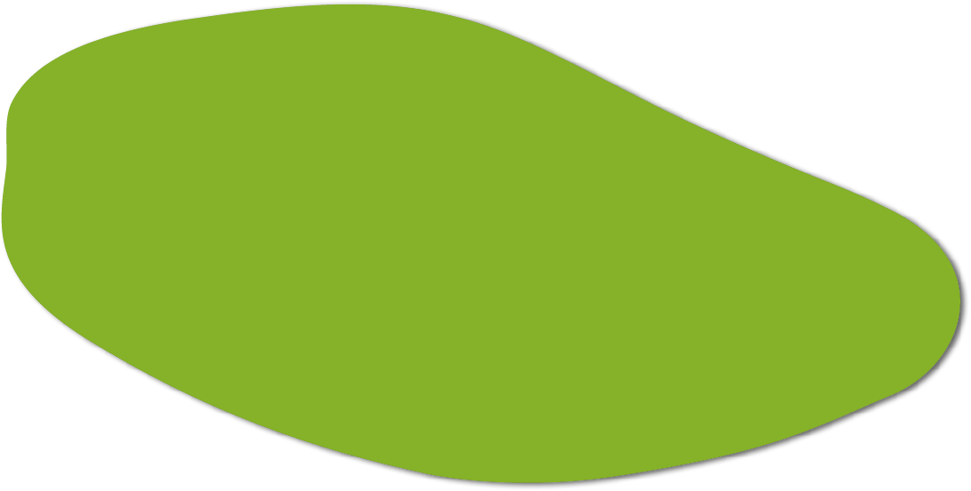 Polygon