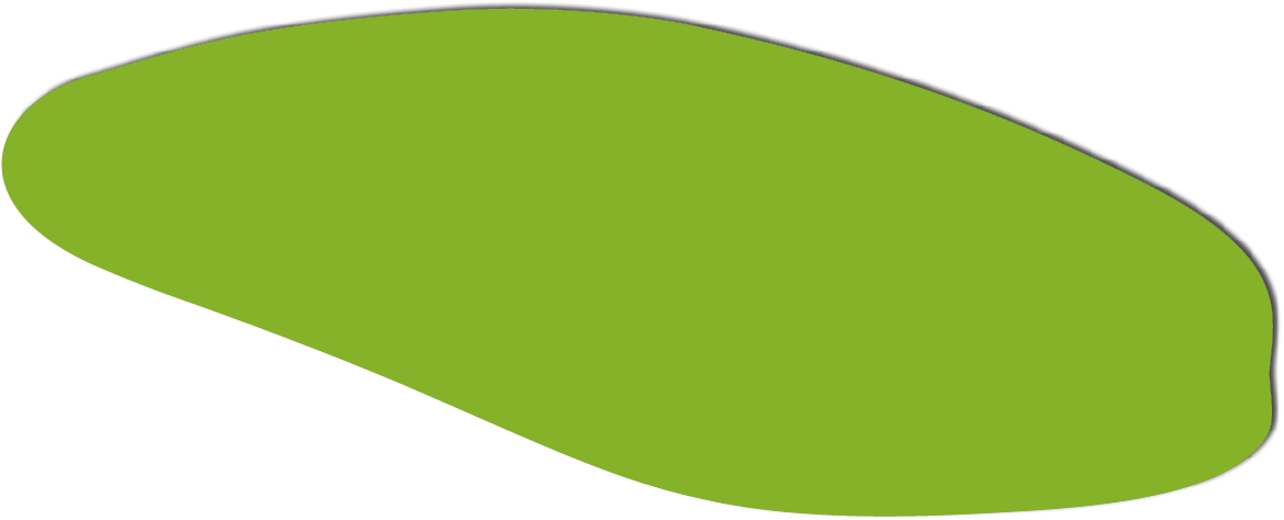 Polygon