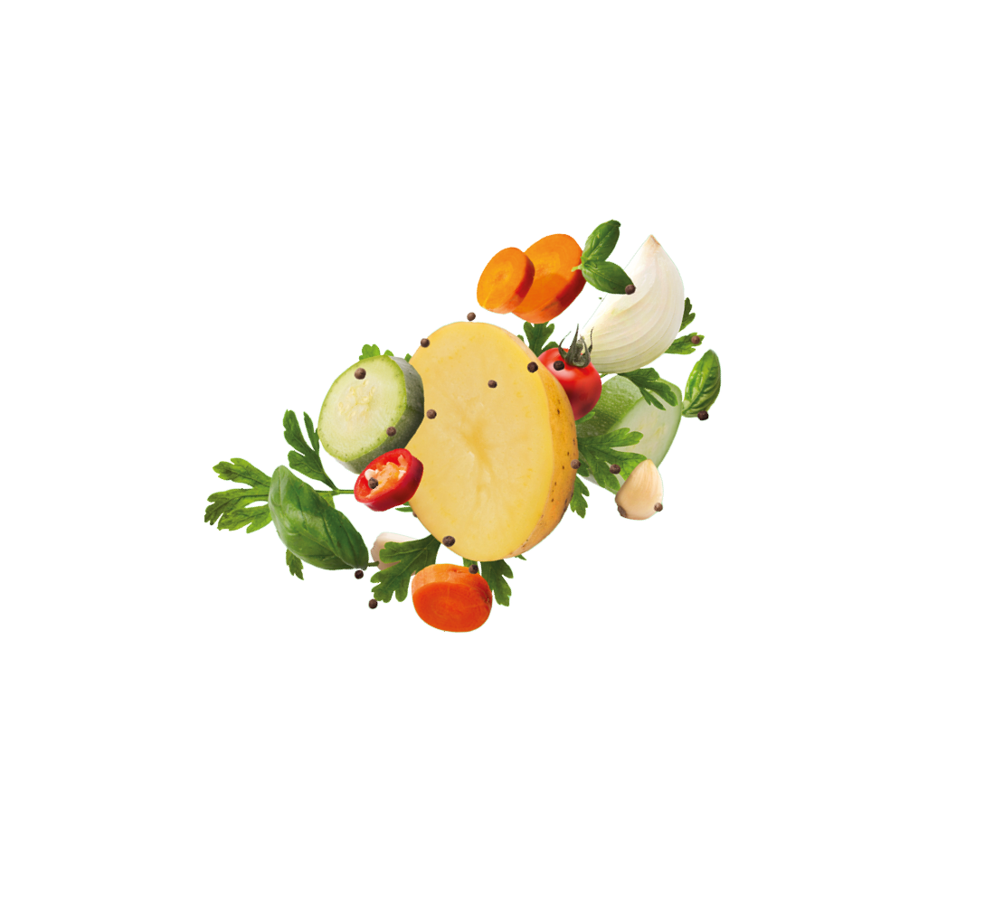 Collection of various fresh organic vegetables ingredients for healthy food, panorama. Raw zucchini, carrot, parsley, basil leaves flying up all together as ingredients for healthy tasty food