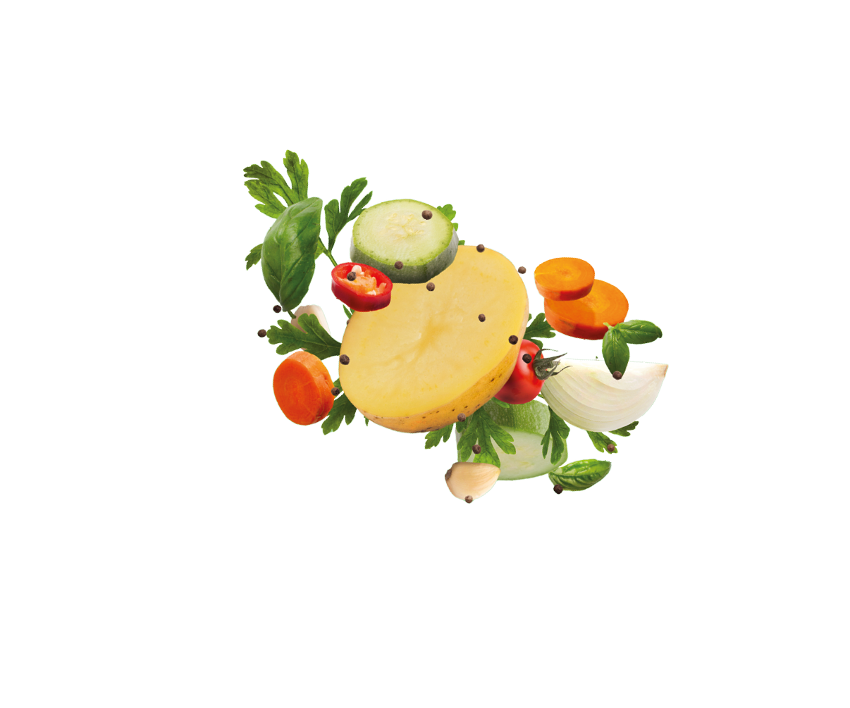Collection of various fresh organic vegetables ingredients for healthy food, panorama. Raw zucchini, carrot, parsley, basil leaves flying up all together as ingredients for healthy tasty food