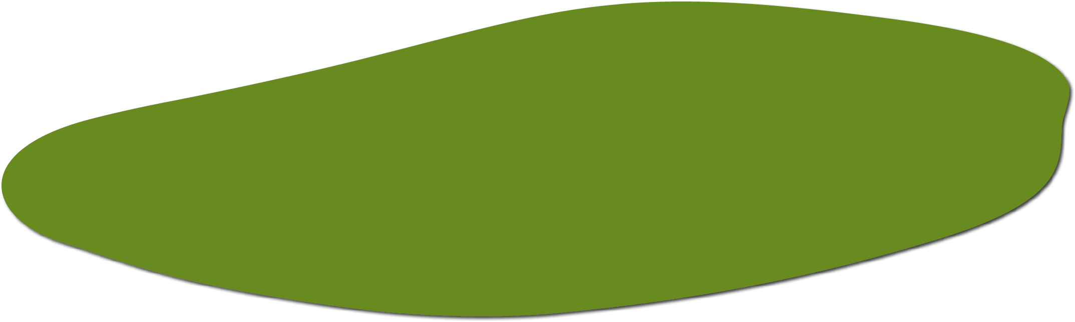 Polygon