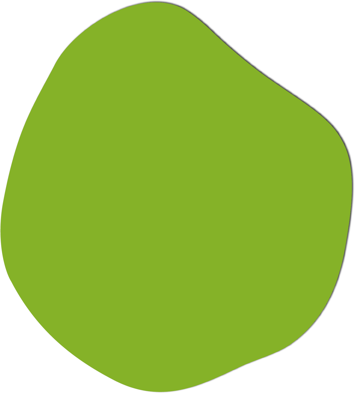 Polygon